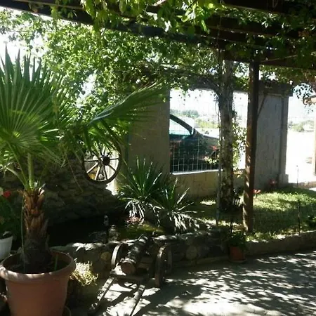 Family Panorama 3*