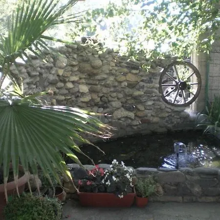 Family Panorama